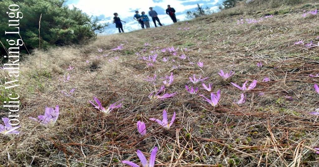 Subir cuestas es un placer. Las mejores vistas están alli arriba Se acabaron las meriendas. Llega el otoño