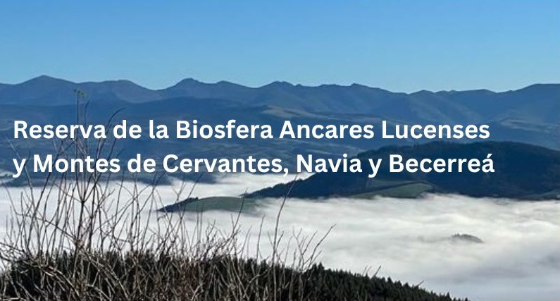 Reserva  Biosfera de Ancares lucenses Reserva de la Biosfera Ancares Montes de Cervantes, Navia y Becerreá