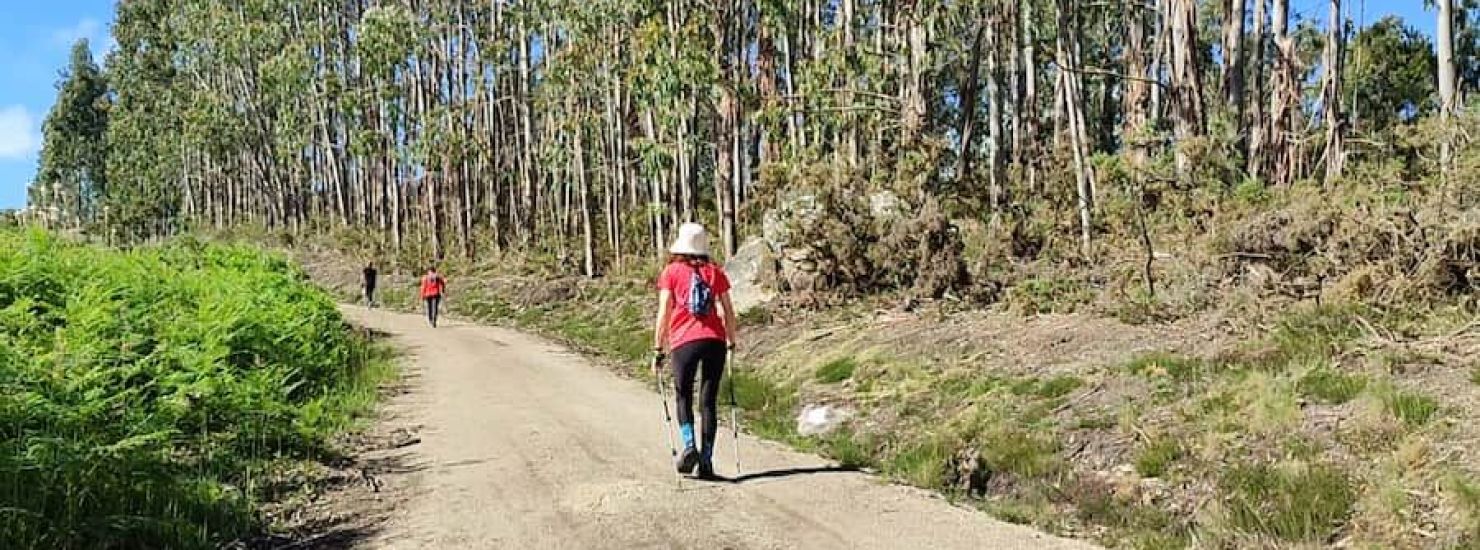 Miradoiro de Paraños Miradoiro de Paraños