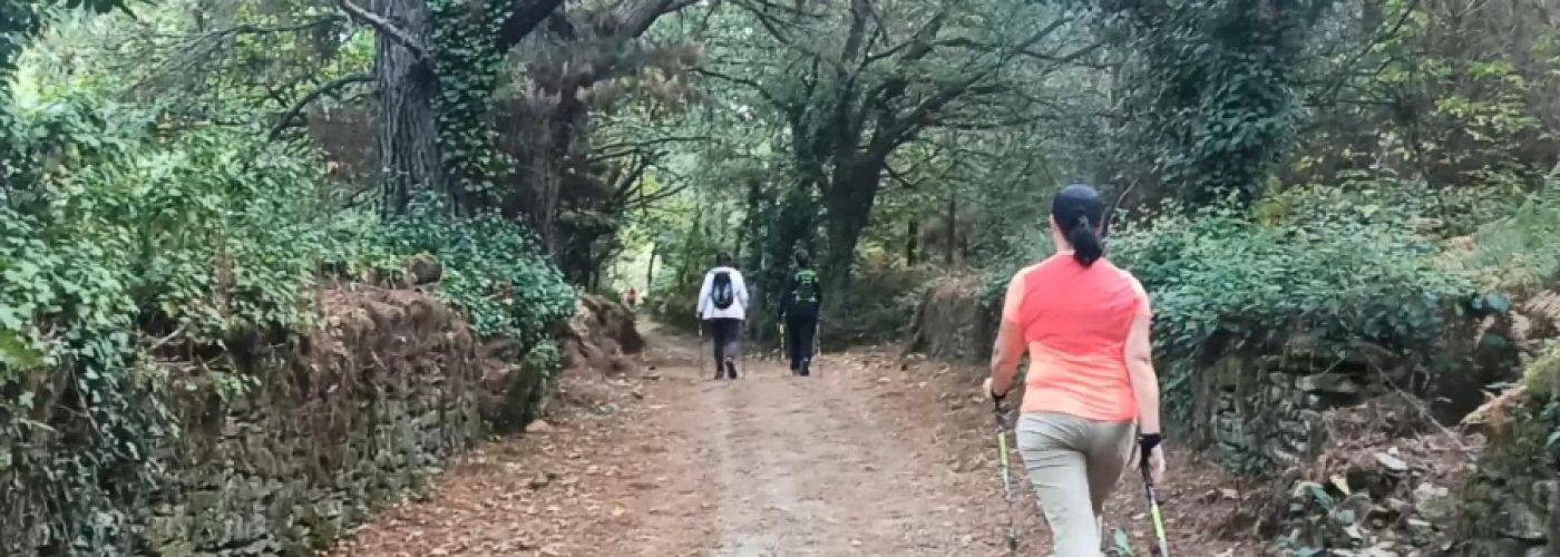 Senda seca Senda seca