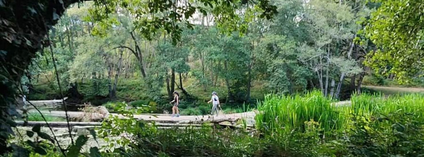 Molino de Paz en Moscán Molino de Paz en Moscán