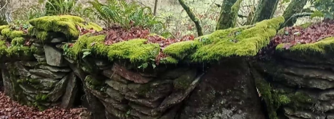 Muro en el camino, cubierto Muro en el camino, cubierto