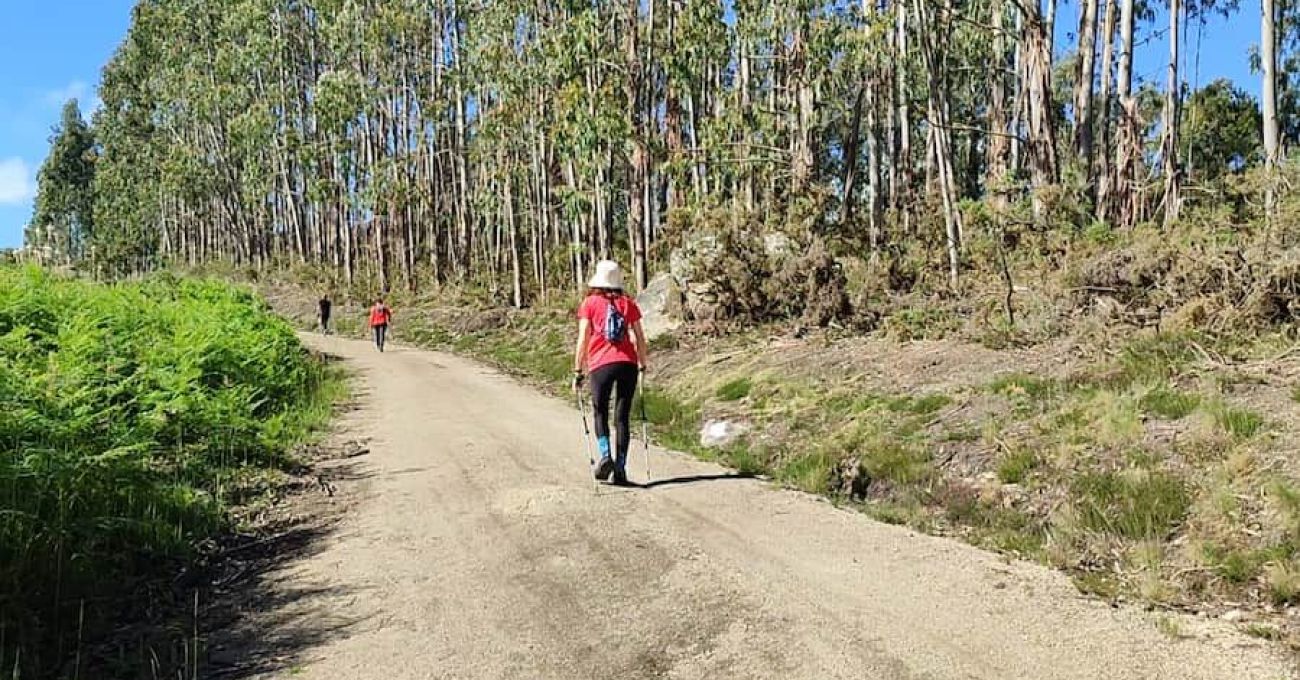 Miradoiro de Paraños Miradoiro de Paraños