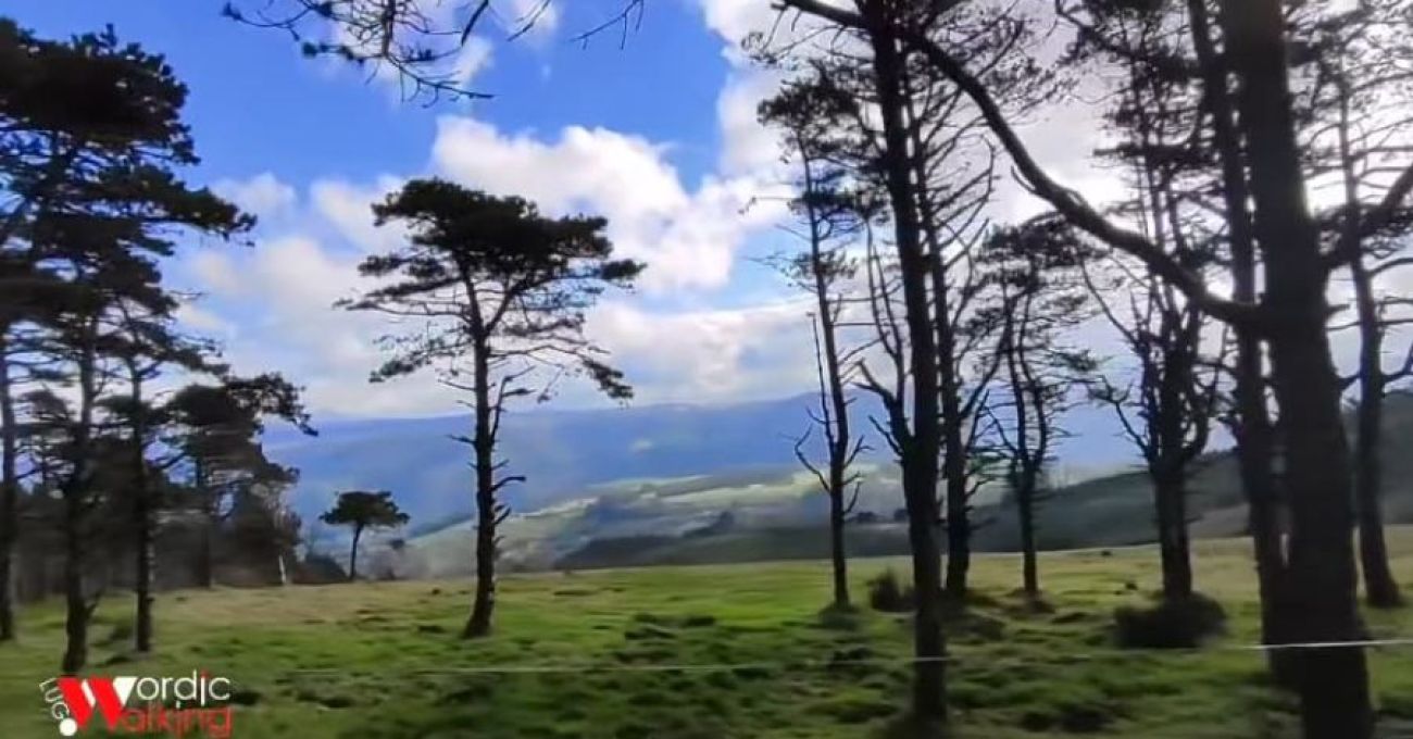 Serra de Meira.