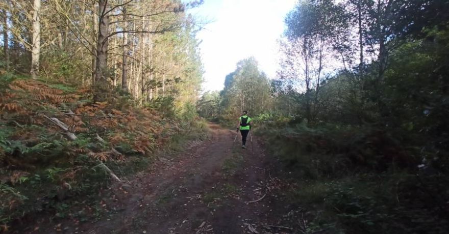 El Nordic en grupo es saludable y bello. El Nordic en grupo es saludable y bello.