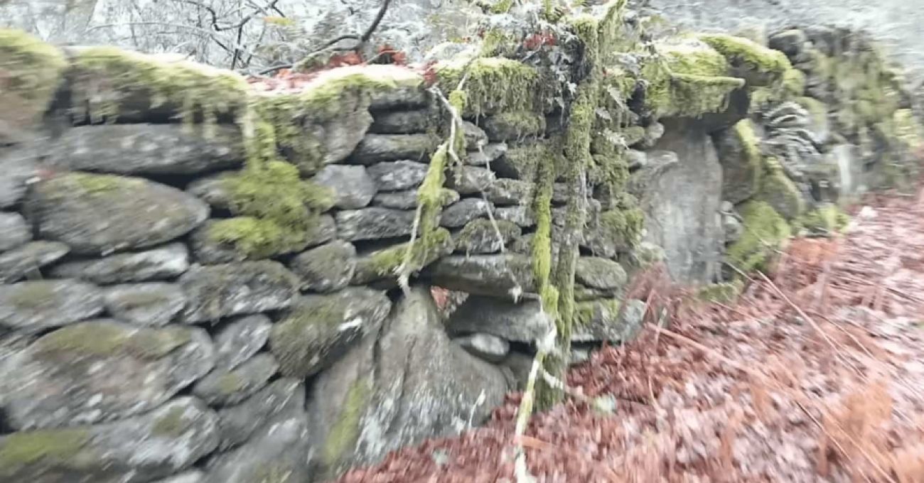 Continuidad y buen hacer Continuidad y buen hacer