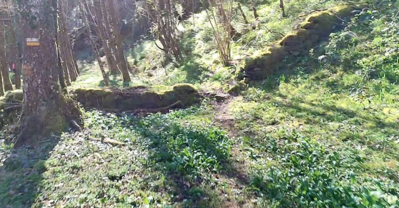 Usos de los muros de junta seca en el río Donsal Usos de los muros de junta seca en el río Donsal