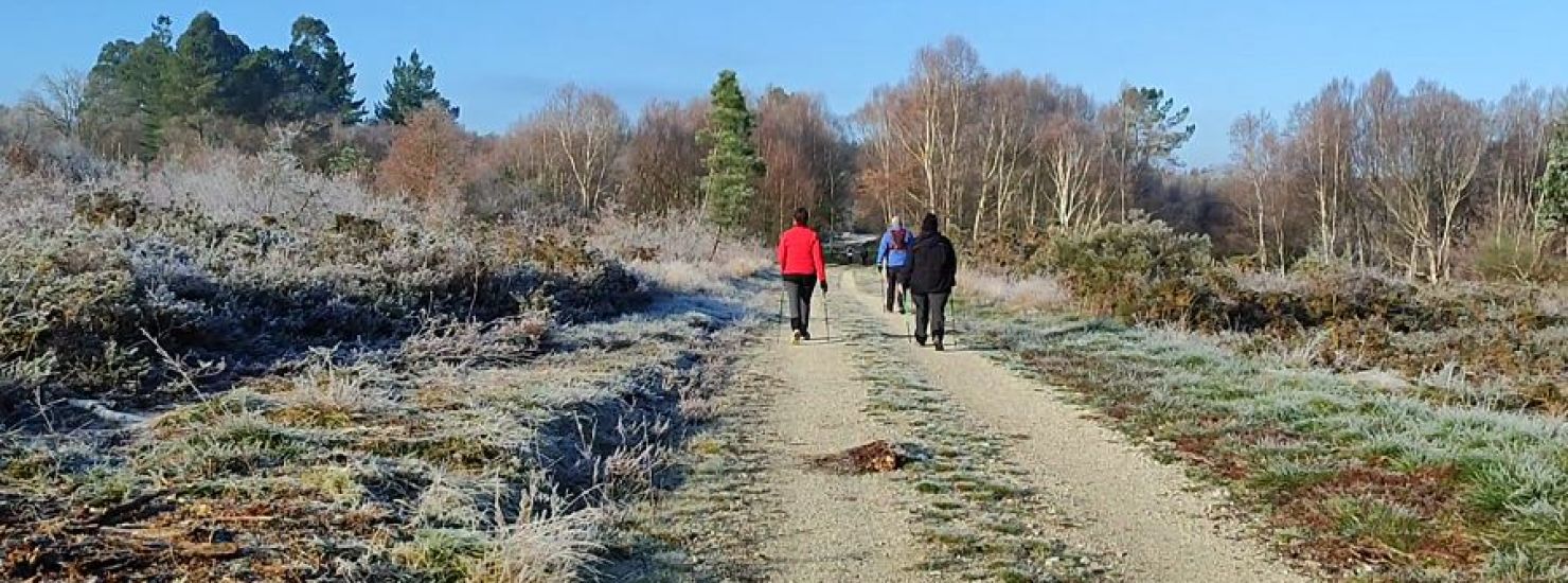 Invierno en el Camino Real Invierno en el Camino Real