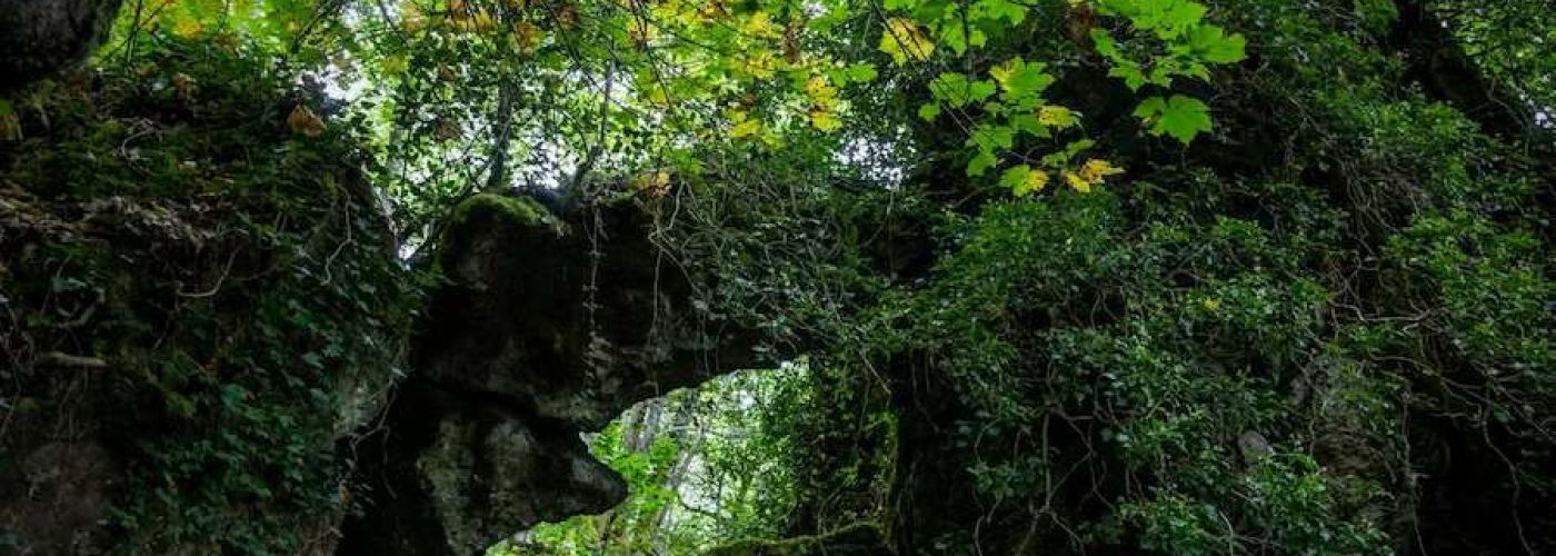 Os grobos por Cormes Os grobos por Cormes