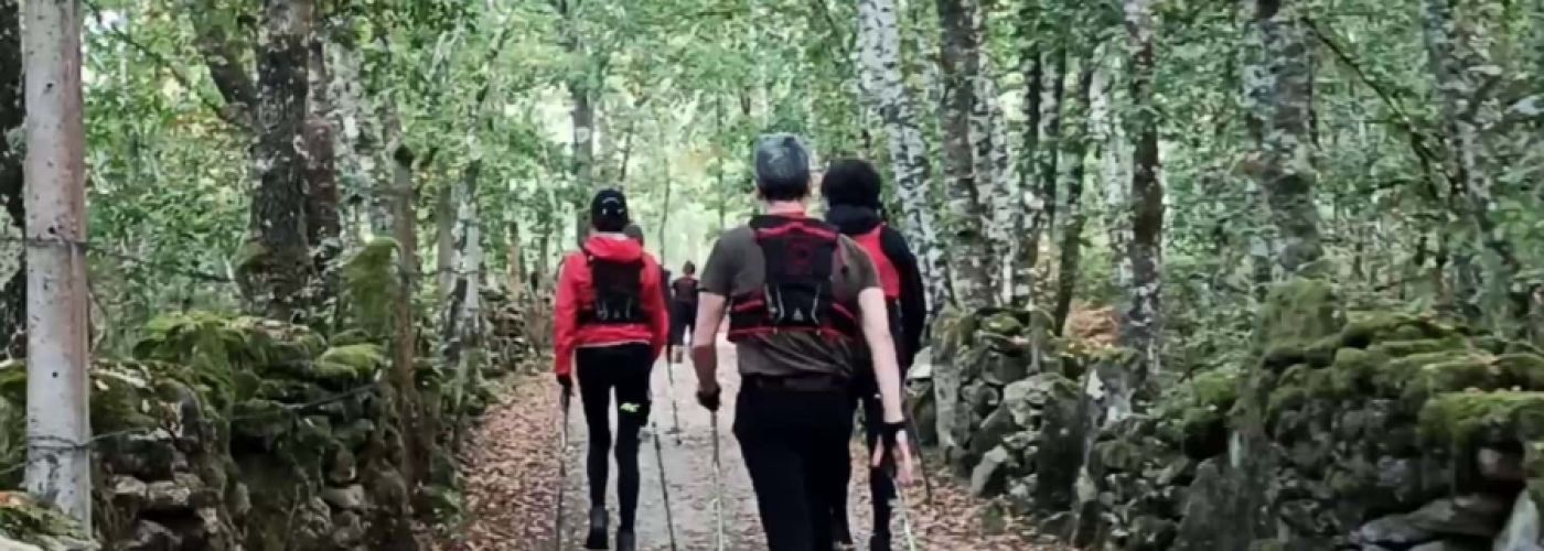 Belleza alterada Belleza alterada