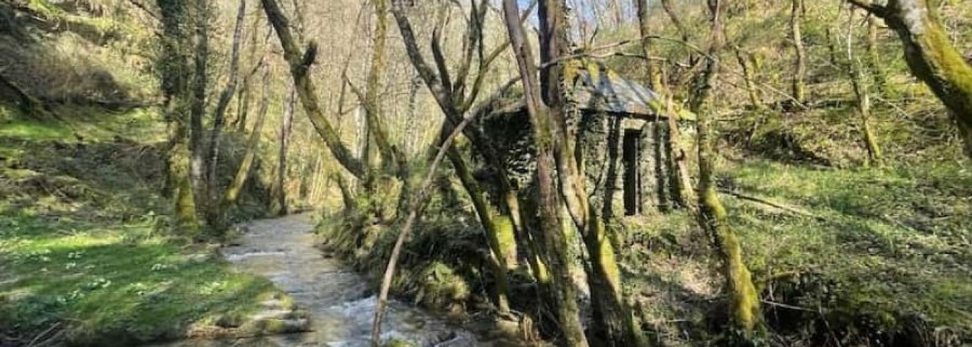 Río Donsal: Un Legado de Piedra y Agua Río Donsal: Un Legado de Piedra y Agua