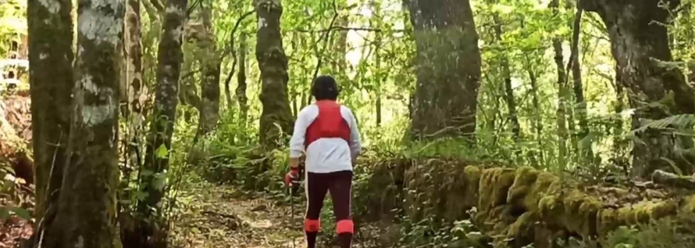 Irregularidad manifiesta Irregularidad manifiesta