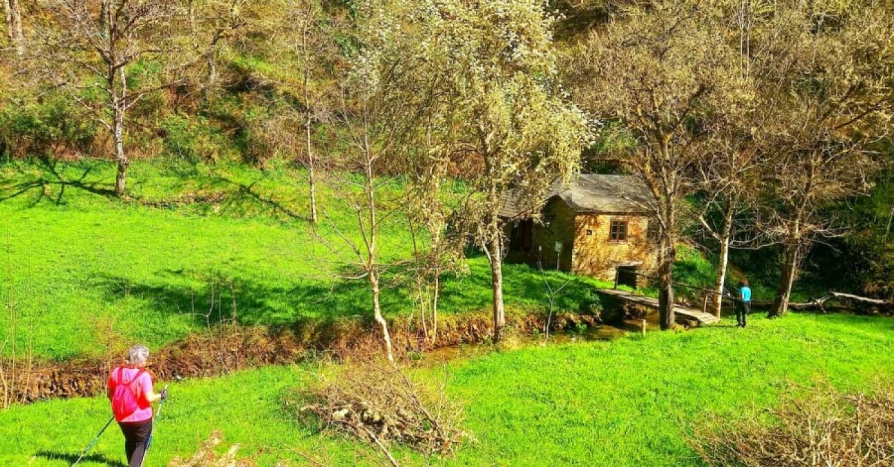 Ruta Río Donsal Ruta Río Donsal