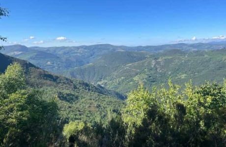 Majestuosa Devesa da Rogueira Majestuosa Devesa da Rogueira