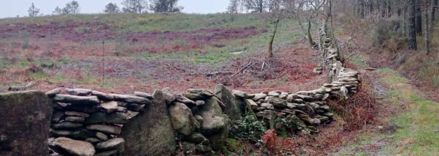 Largo, largo y en pendiente Largo, largo y en pendiente