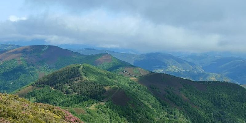 V Clinic de Técnica específica  ALFA 247  "Desniveles + y -"