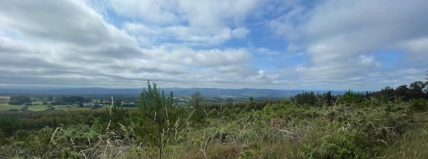 El cordal de Cotá El cordal de Cotá