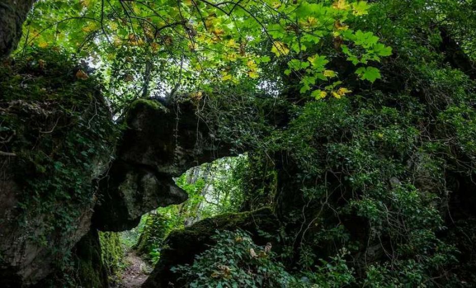 Os grobos por Cormes Os grobos por Cormes