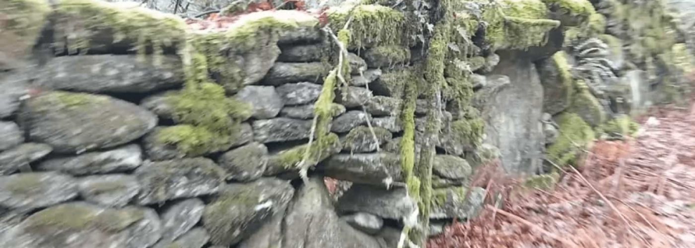 Continuidad y buen hacer Continuidad y buen hacer