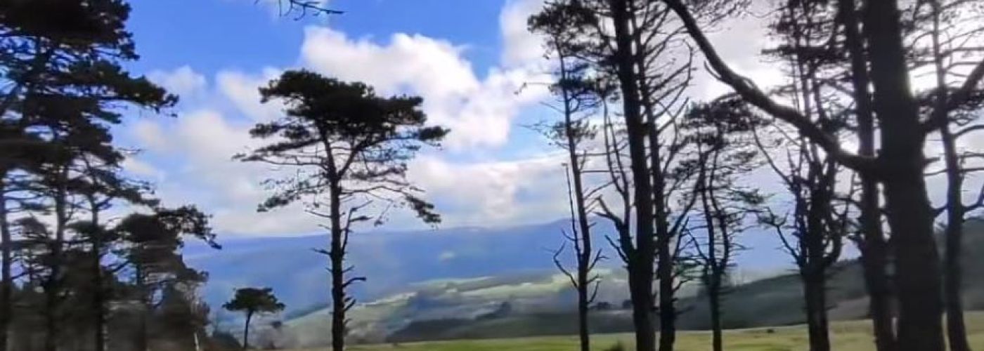 Serra de Meira.