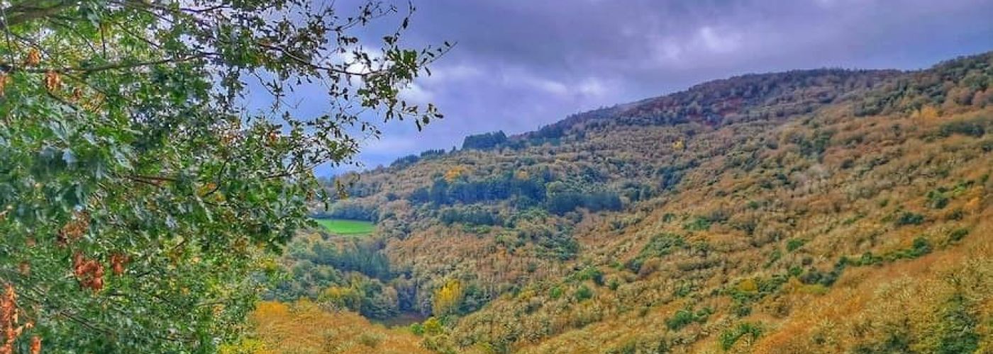 Os grobos, ruta  por el Souto da Agüeira Os grobos, ruta  por el Souto da Agüeira