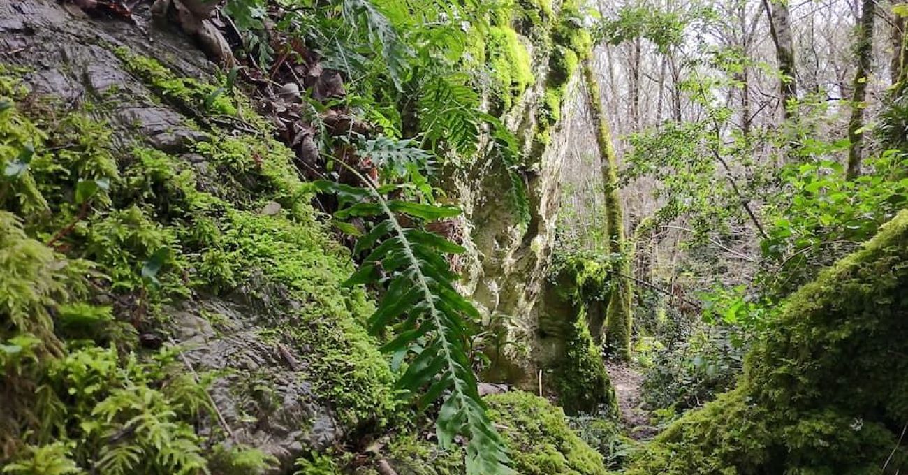 Grobos: El Karst y su Biodiversidad Grobos: El Karst y su Biodiversidad