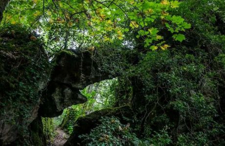 Os grobos por Cormes Os grobos por Cormes