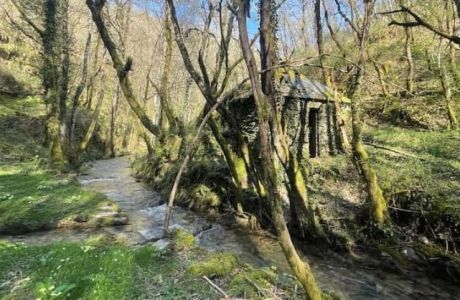 Río Donsal: Un Legado de Piedra y Agua Río Donsal: Un Legado de Piedra y Agua