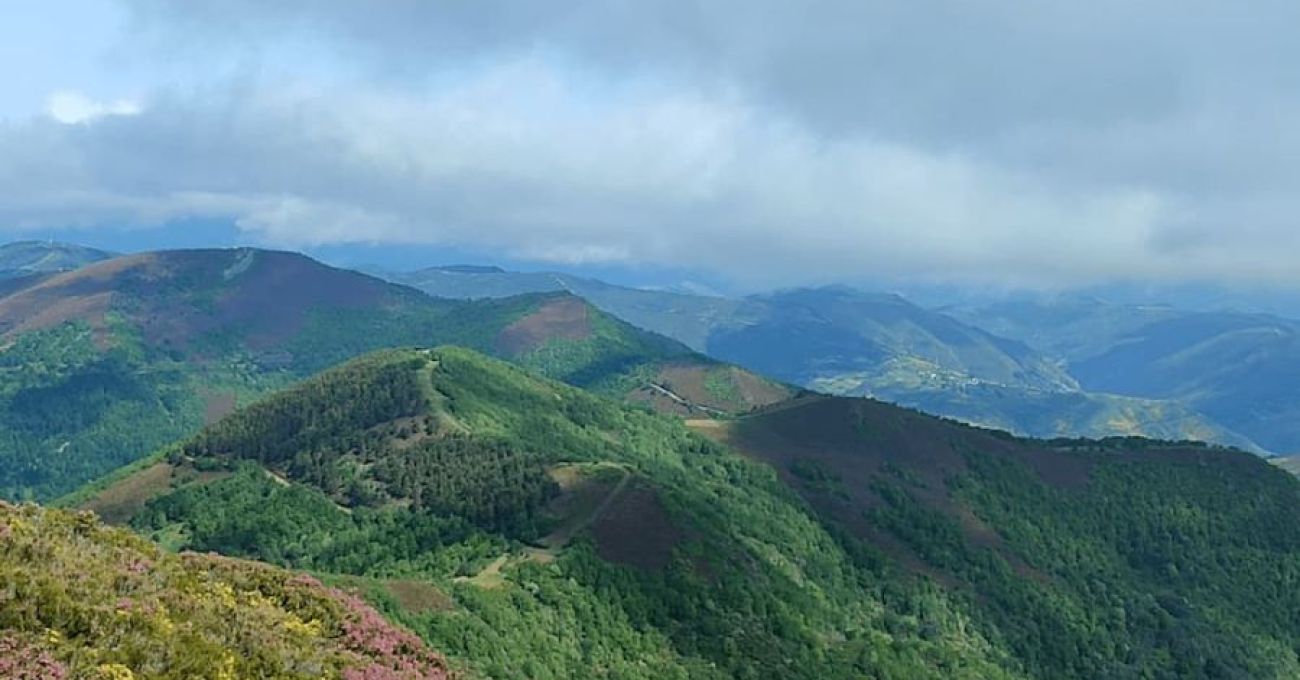 V Clinic de Técnica específica  ALFA 247  "Desniveles + y -" V Clinic de Técnica específica  ALFA 247  "Desniveles + y -"