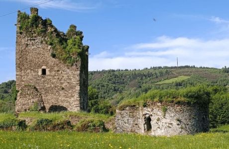 De nuevo por Morcelle y bosque de Los Grobos De nuevo por Morcelle y bosque de Los Grobos