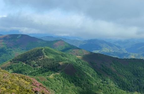 V Clinic de Técnica específica  ALFA 247  "Desniveles + y -" V Clinic de Técnica específica  ALFA 247  "Desniveles + y -"