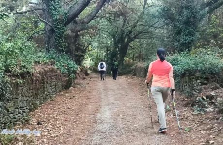 Senda seca Senda seca