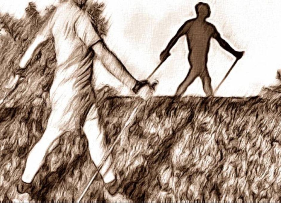 Los 14 ejercicios avanzados para cada uno de los 7 tops. Los 14 ejercicios avanzados para cada uno de los 7 tops.