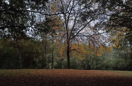 ¿Qué es para mí el Nordic Walking? ¿Qué es para mí el Nordic Walking?