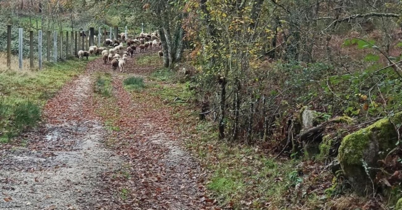 Junta seca y pilotes Junta seca y pilotes