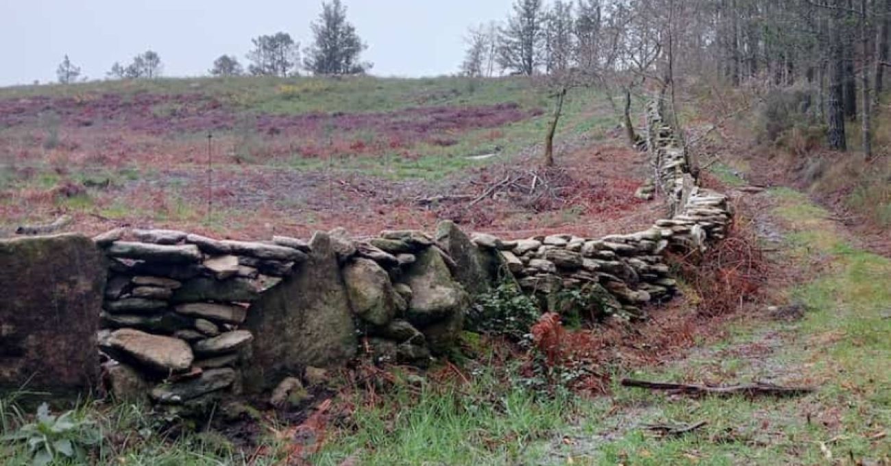 Largo, largo y en pendiente Largo, largo y en pendiente