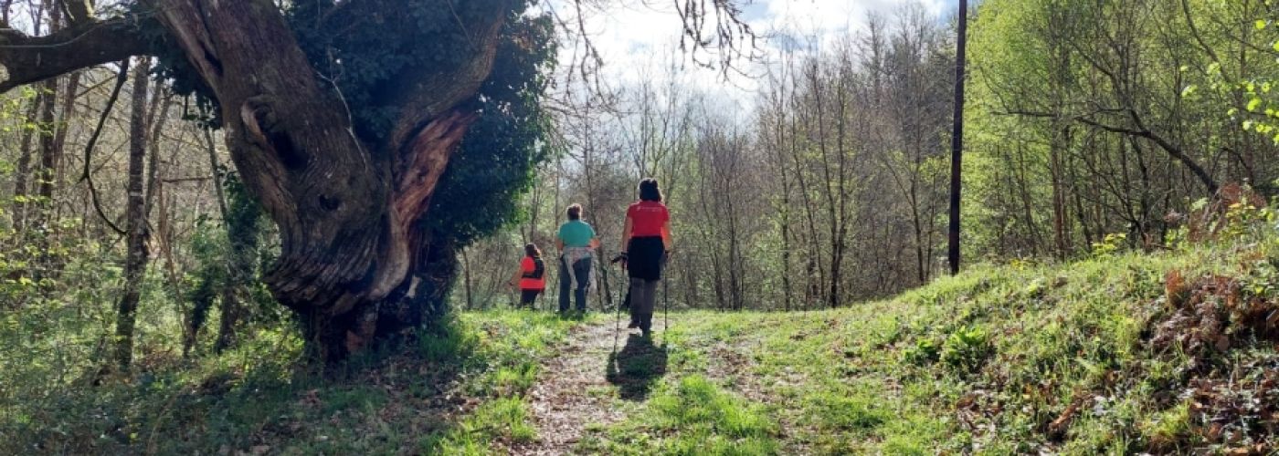 De nuevo por el Donsal De nuevo por el Donsal