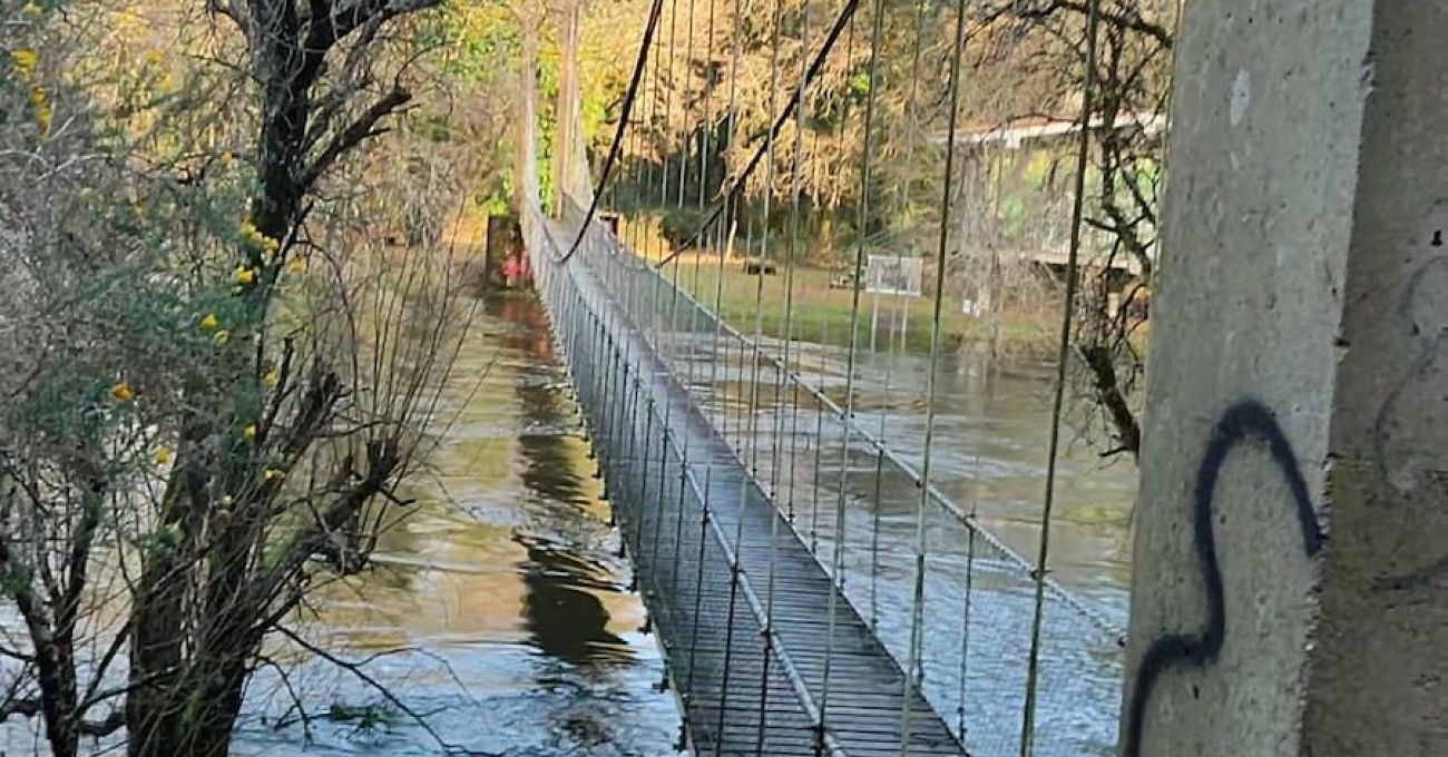 Isla de Seivane Isla de Seivane