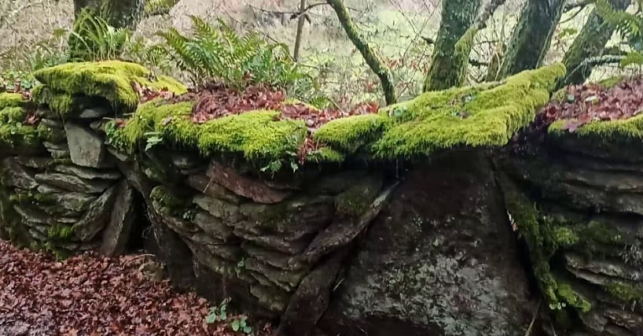 Muro en el camino, cubierto Muro en el camino, cubierto