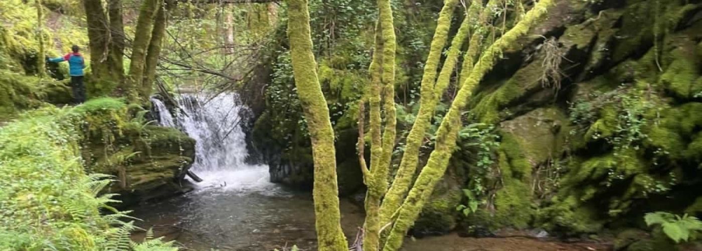 Quintá de Cancelada Quintá de Cancelada