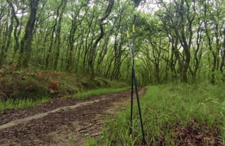 Walkear entre el despertar de la naturaleza: un placer para los sentidos Walkear entre el despertar de la naturaleza: un placer para los sentidos