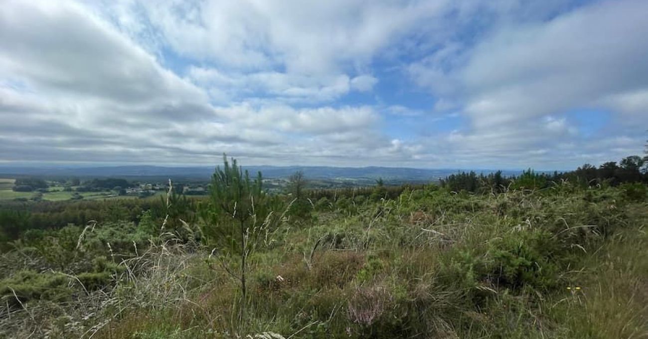 El cordal de Cotá El cordal de Cotá