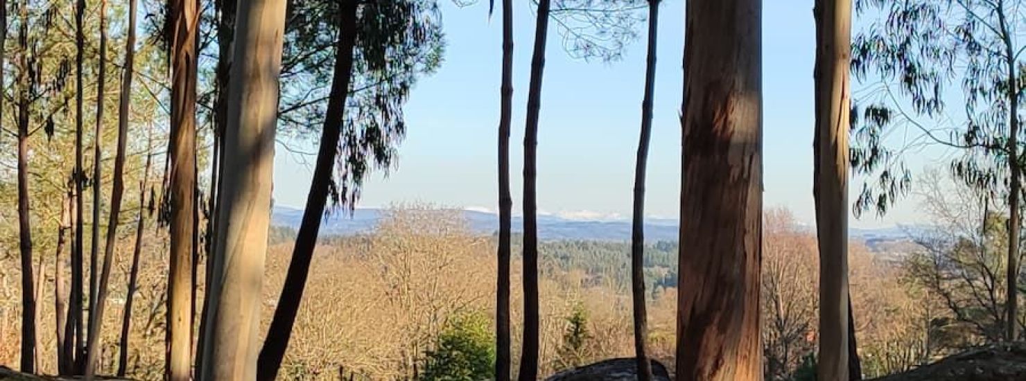 Nuevamente subimos a Penas de Rodas: Nuevamente subimos a Penas de Rodas: