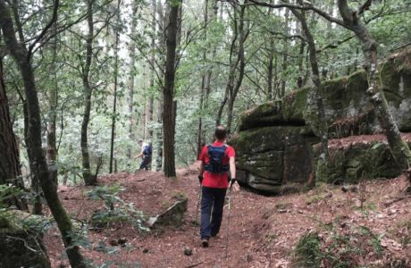 Soñe que soñaba.... Soñe que soñaba....