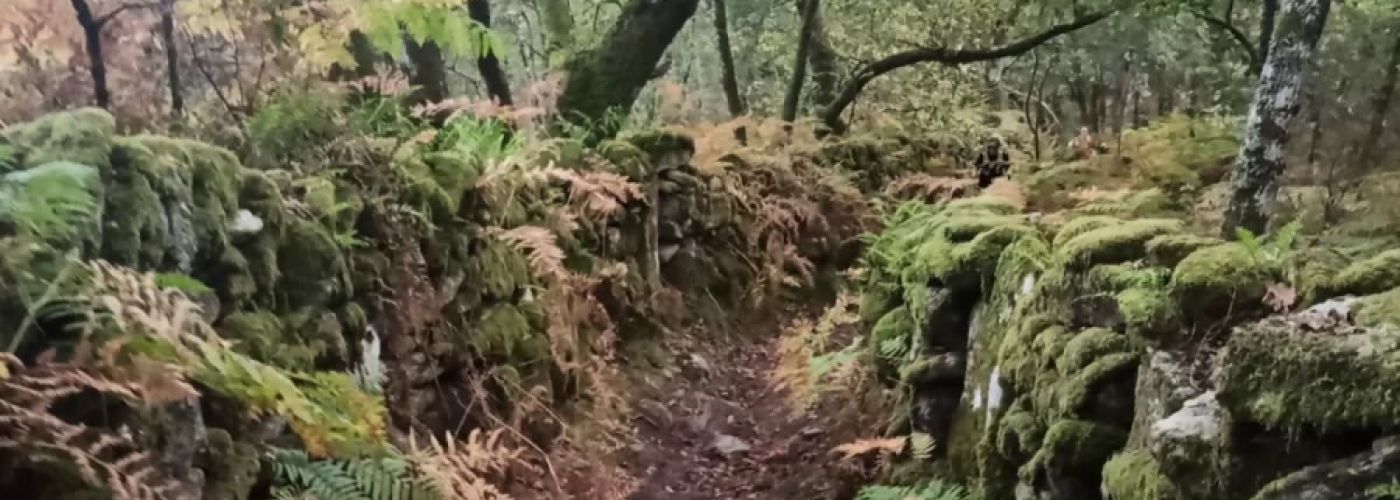 Verde que te quiero verde Verde que te quiero verde