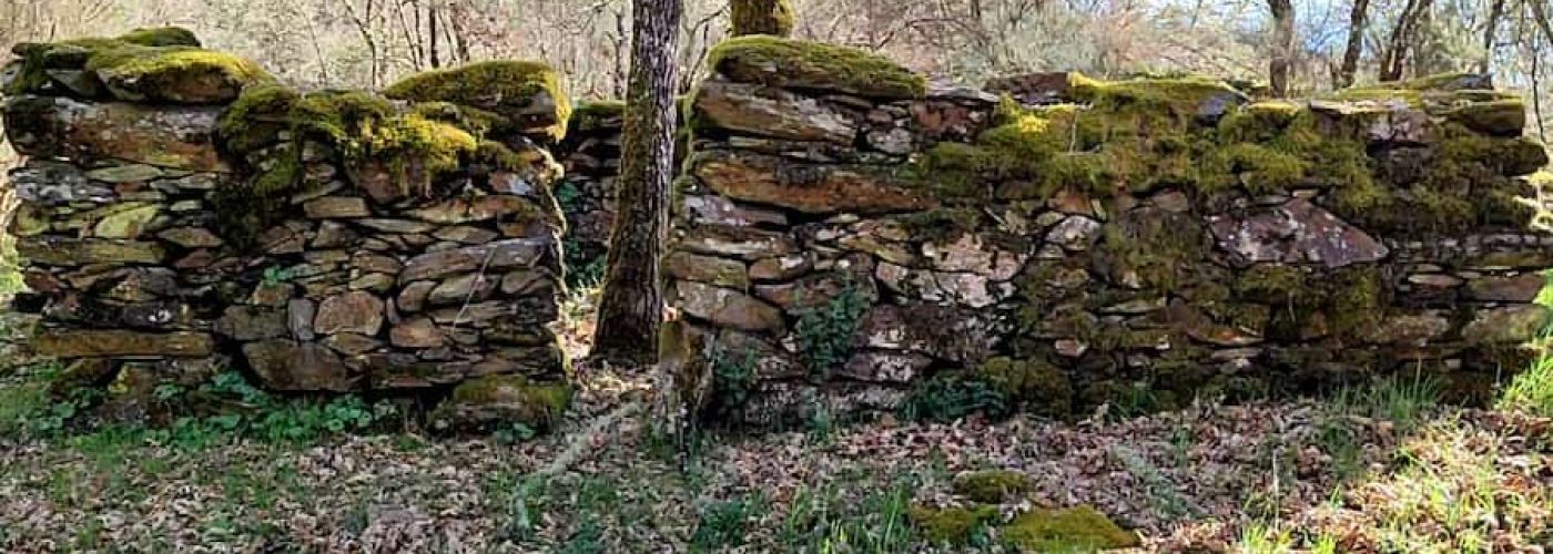 Ouriceiro en el Río Donsal Ouriceiro en el Río Donsal