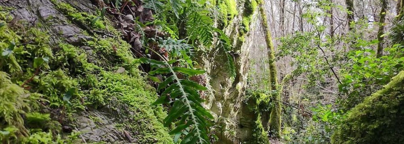 Grobos: El Karst y su Biodiversidad Grobos: El Karst y su Biodiversidad