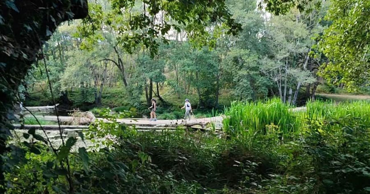 Molino de Paz en Moscán Molino de Paz en Moscán