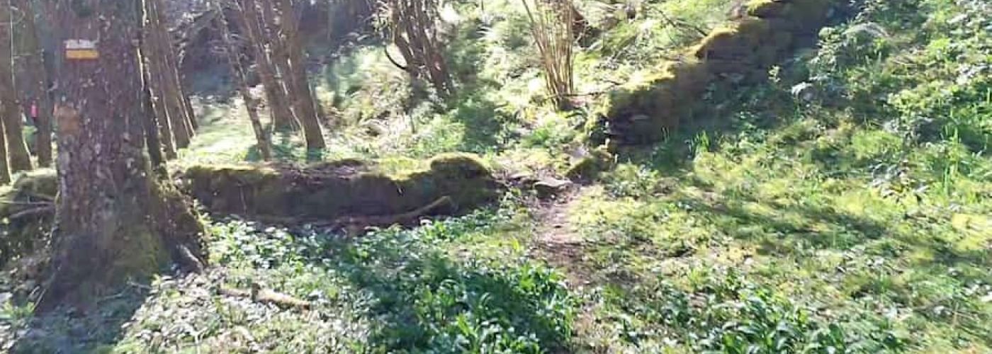 Usos de los muros de junta seca en el río Donsal Usos de los muros de junta seca en el río Donsal