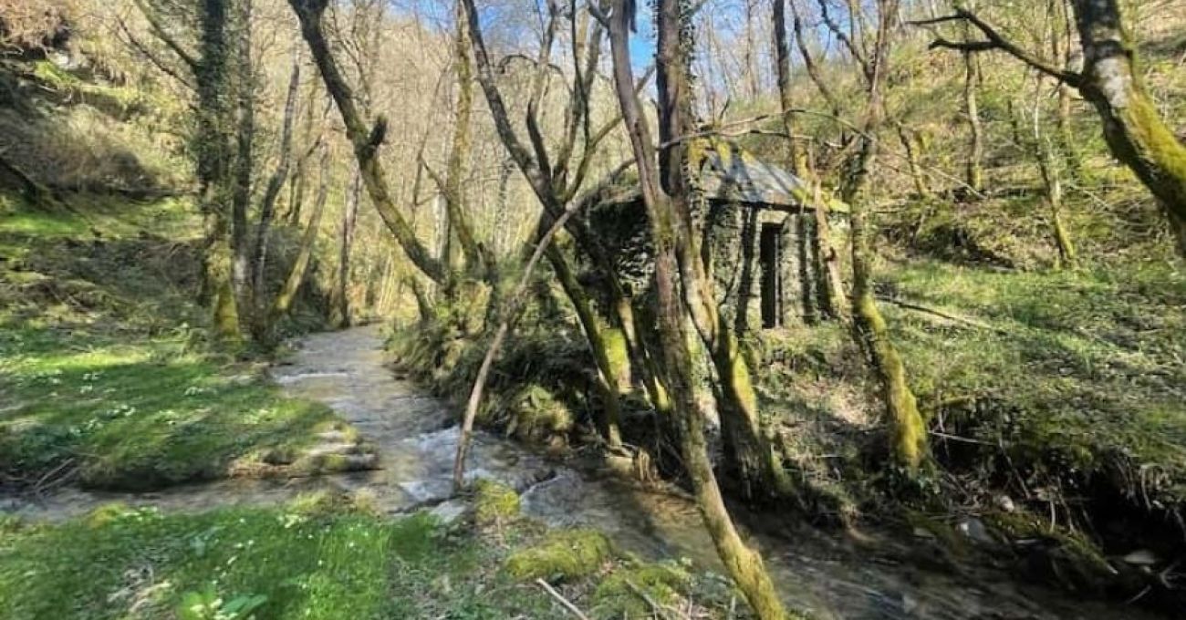 Río Donsal: Un Legado de Piedra y Agua Río Donsal: Un Legado de Piedra y Agua